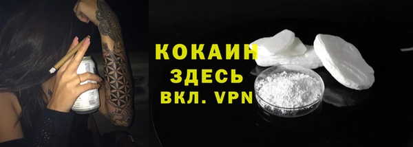 спиды Аркадак