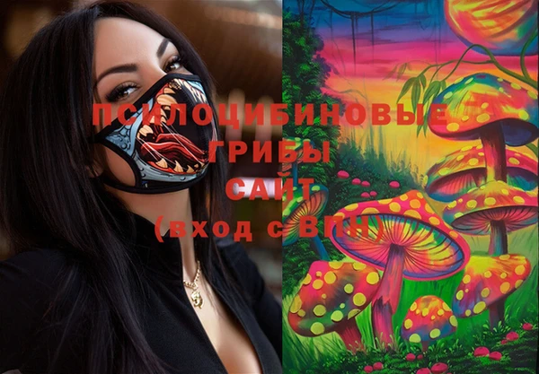 спиды Аркадак