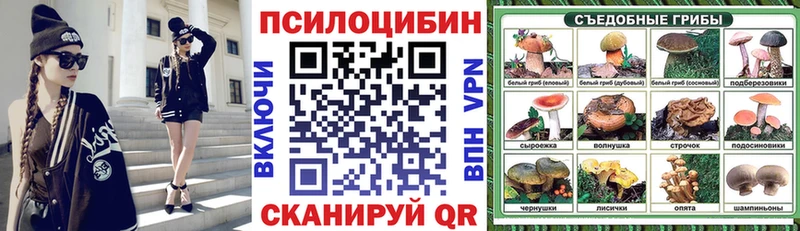 Псилоцибиновые грибы Psilocybine cubensis даркнет сайт Волгодонск