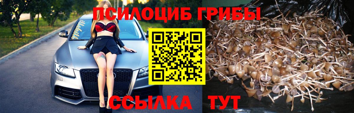 Псилоцибиновые грибы ЛСД  Галлюциногенные грибы MAGIC MUSHROOMS  Волгодонск  наркота  Вход с VPN 